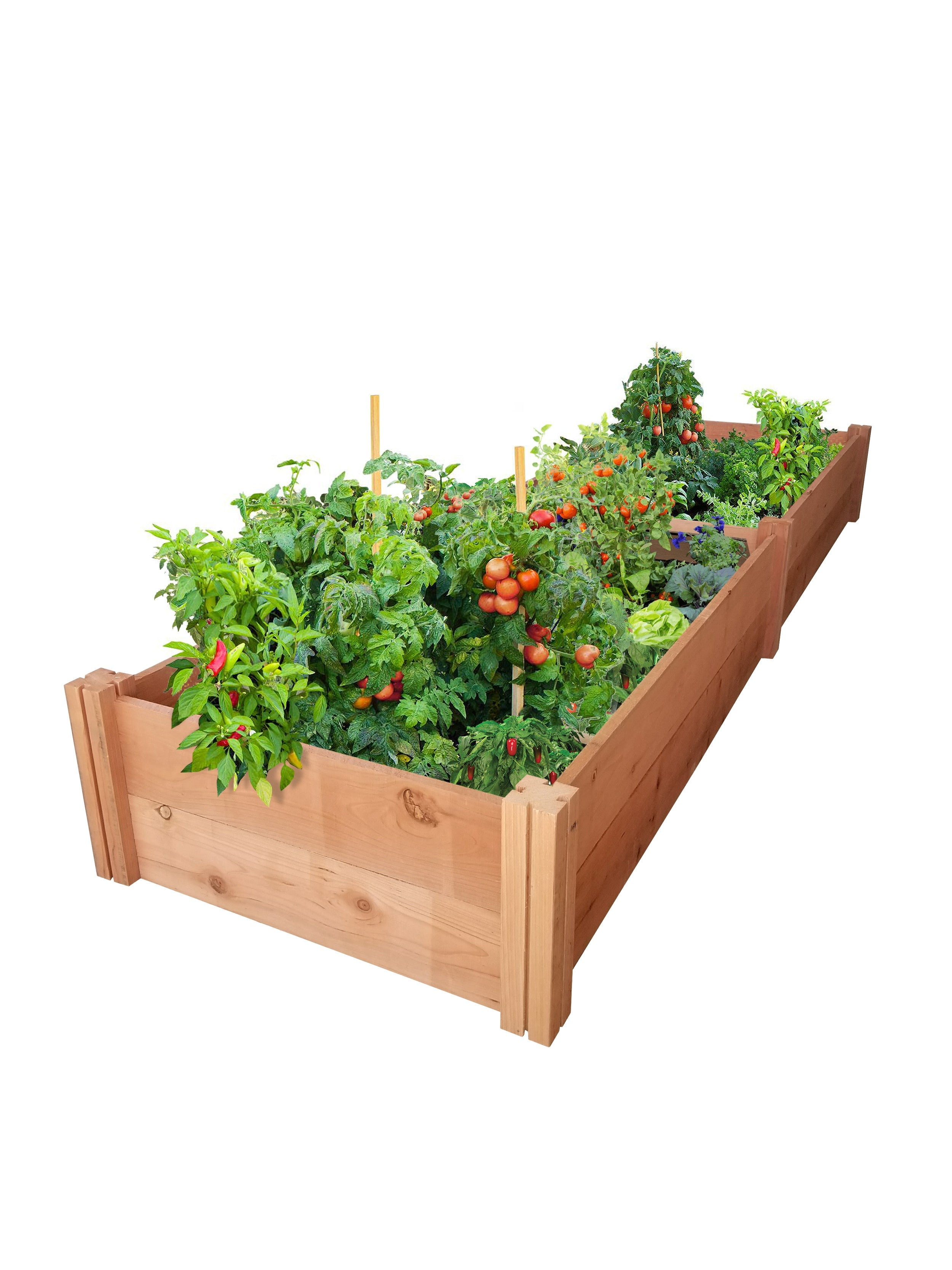 GrowGardens 2' x 8' x 11" Redwood Raised Garden Bed