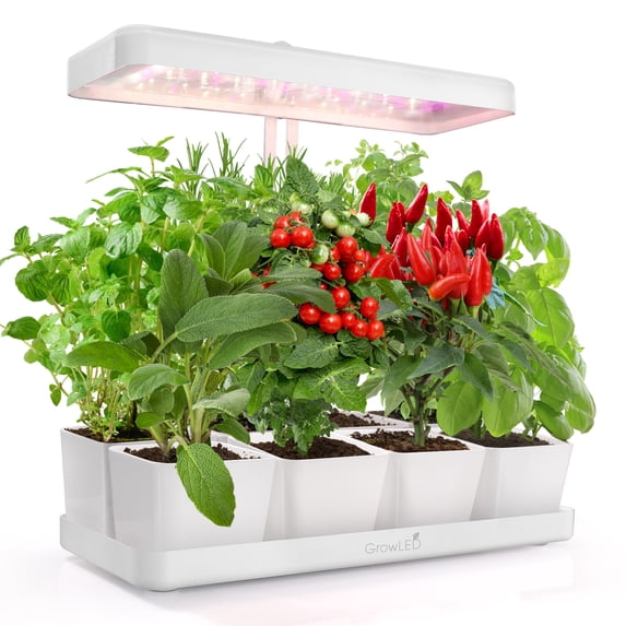 GrowLED Indoor Herb Garden, Height Adjustable Grow Light with 8/12/16/24H Smart Timer, White(Pots Not Included)