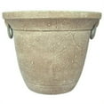 thumbnail image 1 of Grower Select STPCF036609 16 in. Handled Jar, Stone, 1 of 1