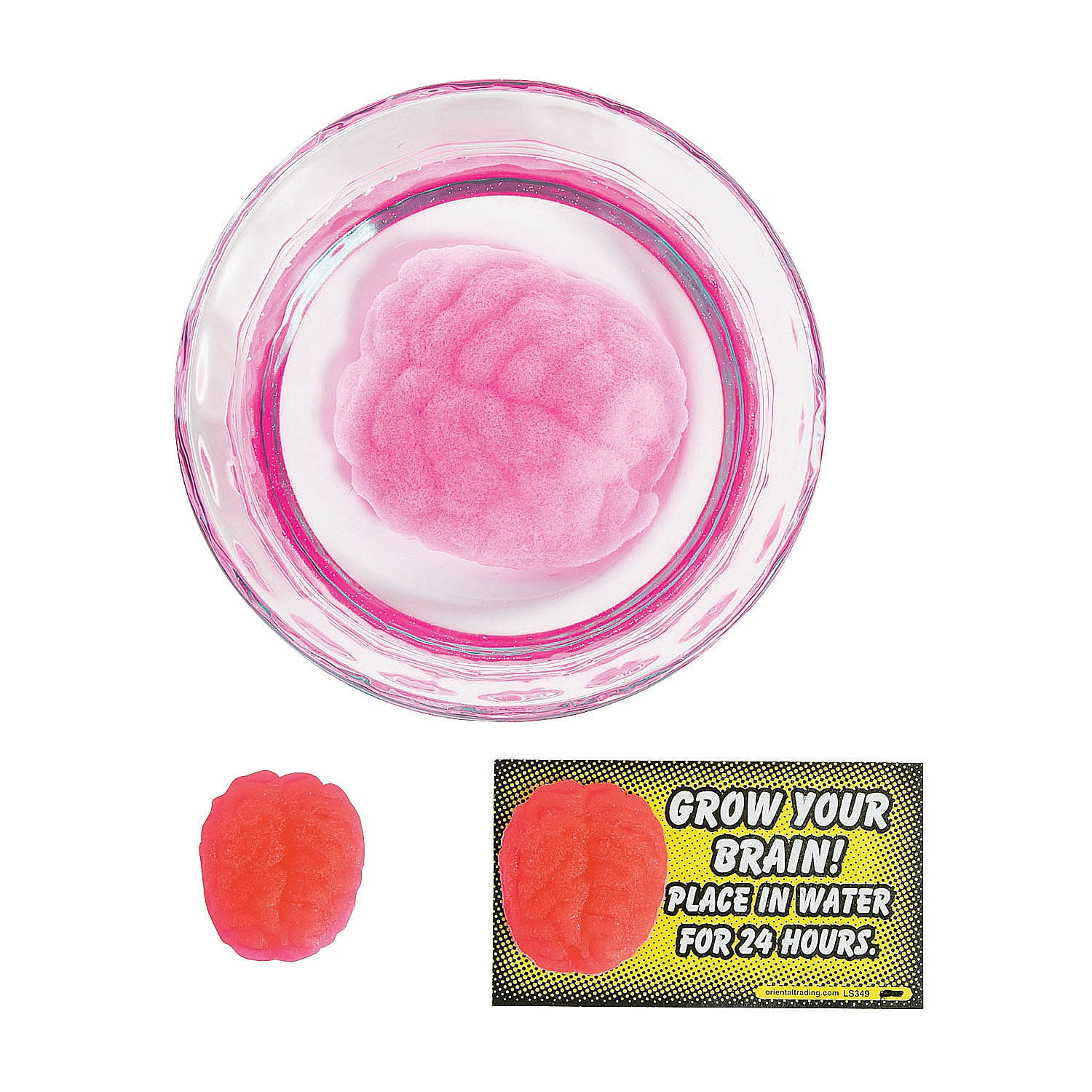 Growing Brain Toys 36 Pieces