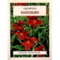 thumbnail image 1 of Pre-Owned Growing Daylilies (Paperback) 086417084X 9780864170842, 1 of 1
