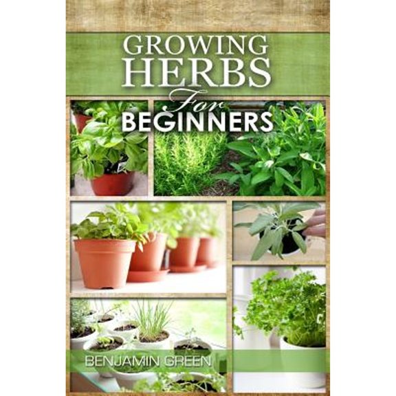 Pre-Owned Growing Herbs for Beginners: How to Grow Low cost Indoor and Outdoor Herbs in containers, for Profit or for health benefits at home, Simple Basic R (Paperback) 1533263116 9781533263117