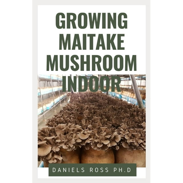 Growing Maitake Mushroom Indoor Everything You Need to know on Growing