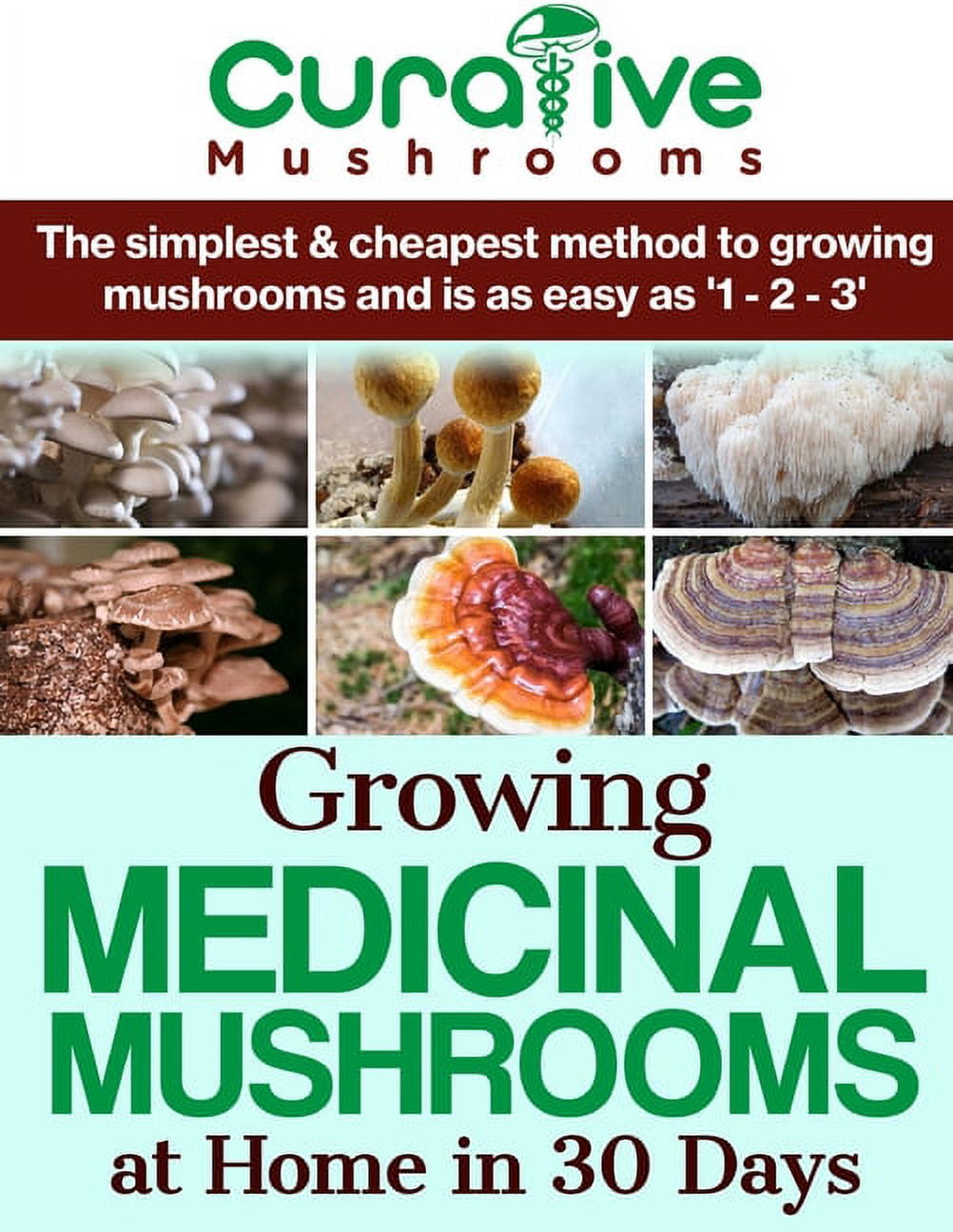 Growing Medicinal Mushrooms At Home The Easy Way: The Simplest ...