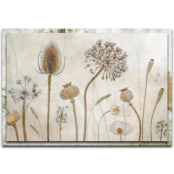 Growing Old Distressed Frame