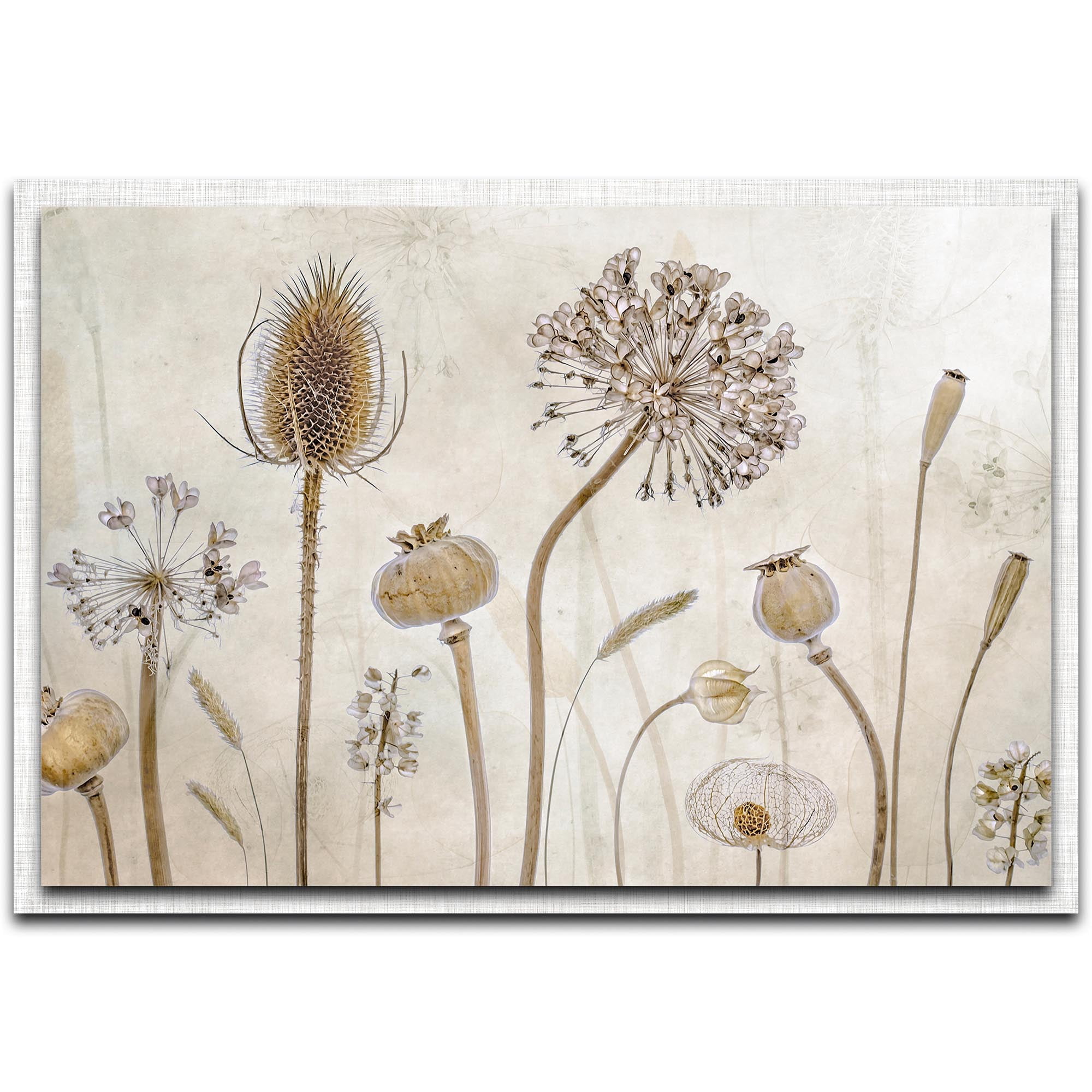 Growing Old Parchment Frame