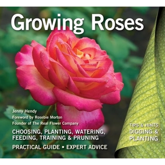 Pre-Owned Growing Roses: Plan, Plant and Maintain (Paperback) 1787552713 9781787552715