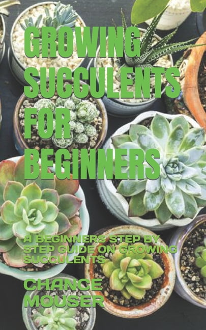 Growing Succulents for Beginners: A Beginners Step by Step Guide on ...