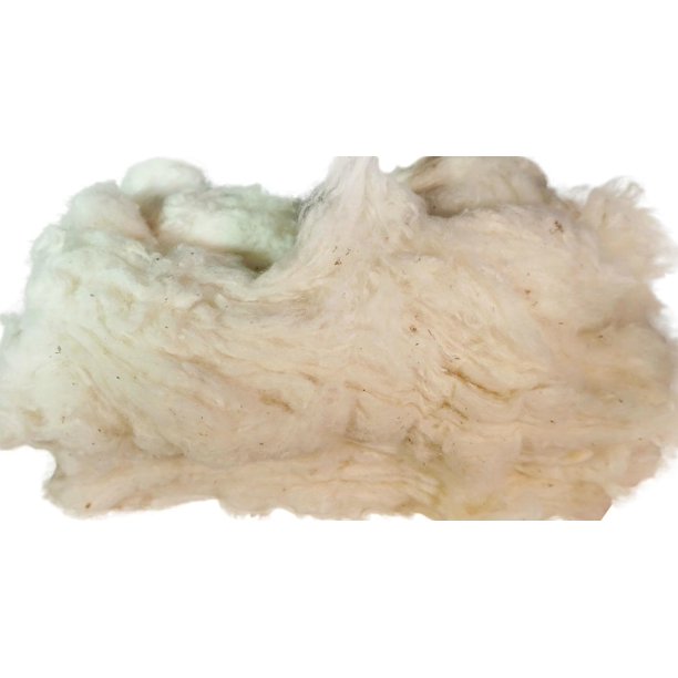 Grown In The Cotton Stuffing/Batting. (3Lb)