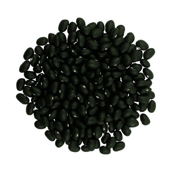Grown in Washington Black Beans | 18 lb | Non-GMO | Kosher | Vegan | Non-Irradiated