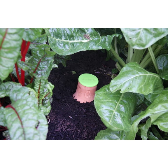 Growoya Garden OYA Large Watering Pot Plant Irrigation System Traditional Olla Watering Smart Underground Watering Available for Garden Beds Raised Beds and Grow Bags