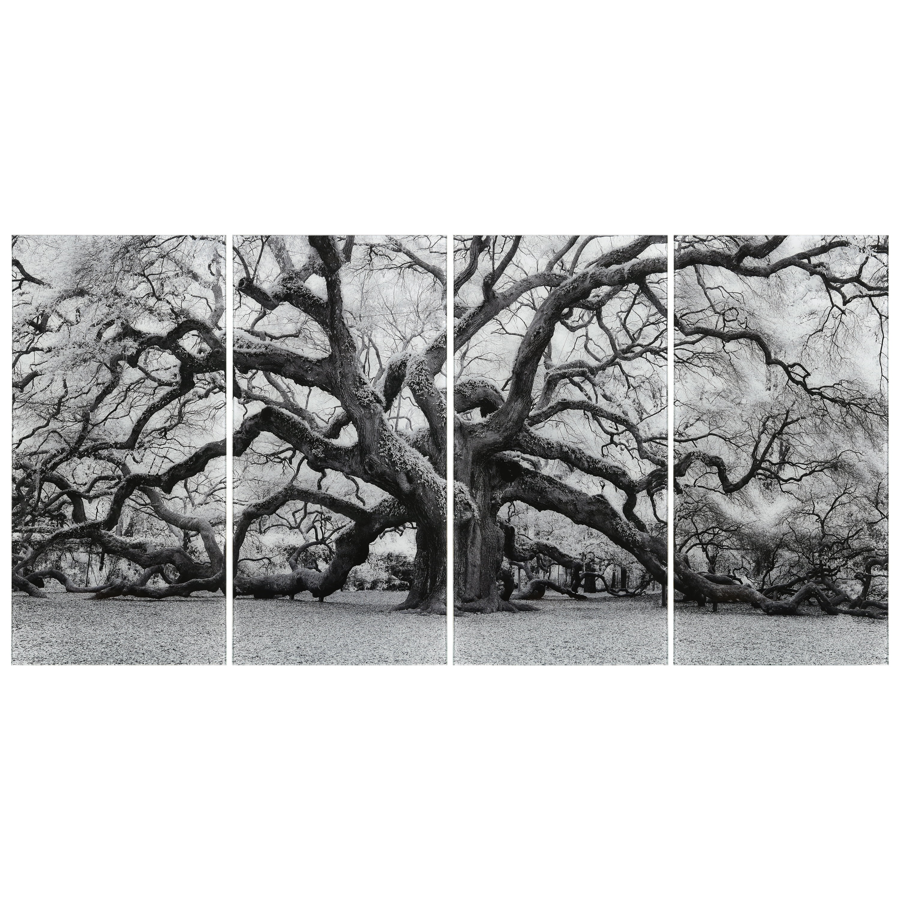 Growth ABCD 36 in x 72 in Mixed Media Art, by Empire Art 4 Count