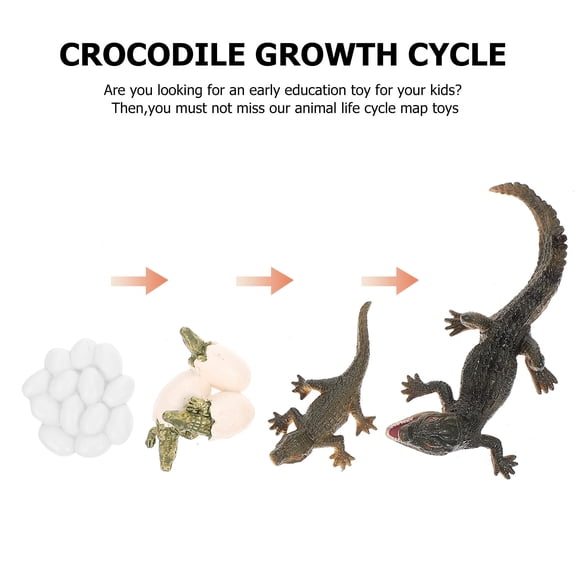 FESTFENDS Realistic Life Cycle Model Toys Set, Plastic Educational Figures, Size 3.9 x 1.8 x 1.2 Inches