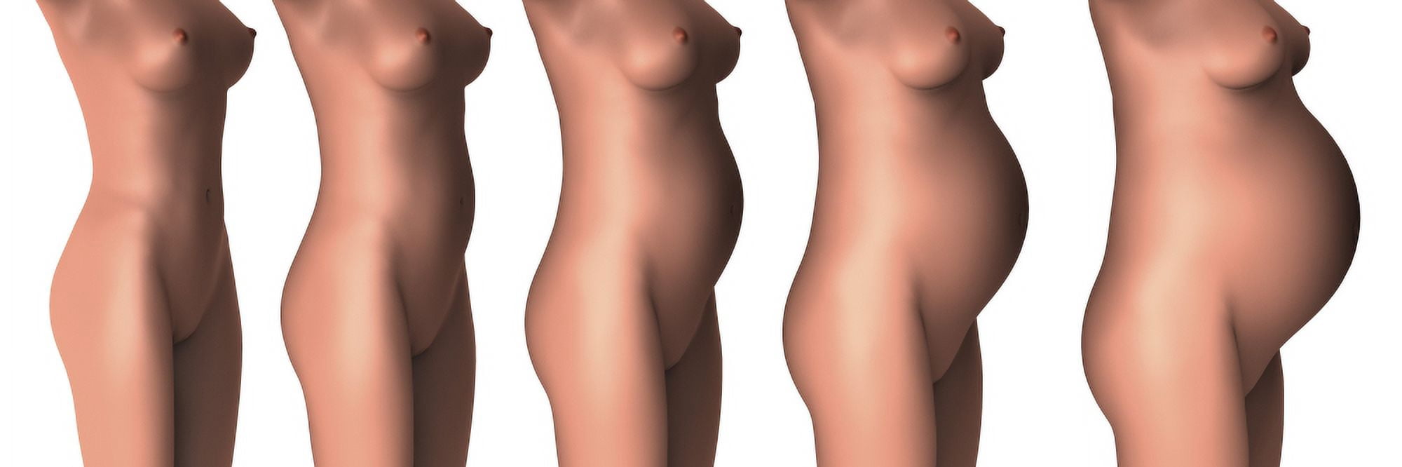 Growth of female midsection during pregnancy stages Canvas Art - Stocktrek Images (48 x 16)
