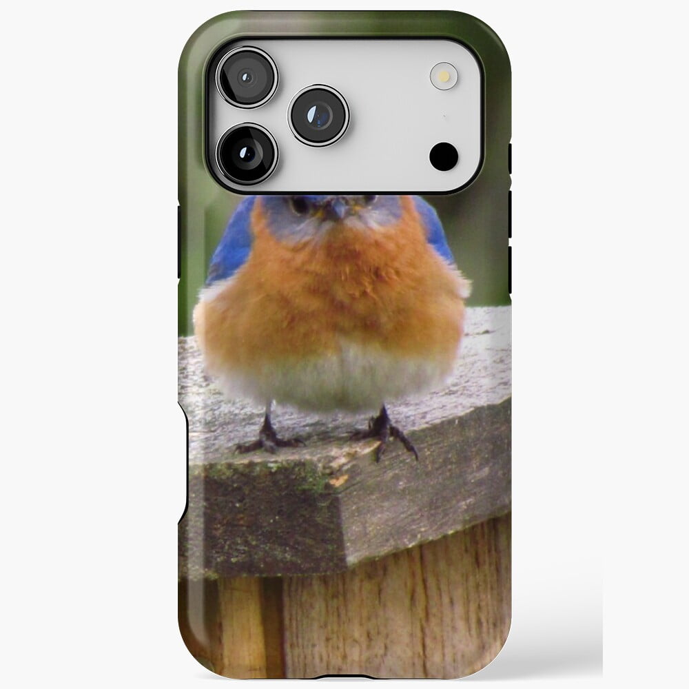Grumpy Bluebird Original Photograph iPhone Case 17 16 15 14 13 12 11 ...