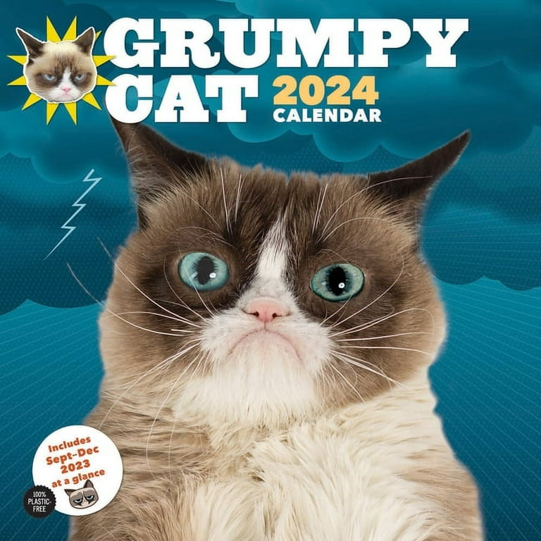 2024 Cats and Kittens Calendar