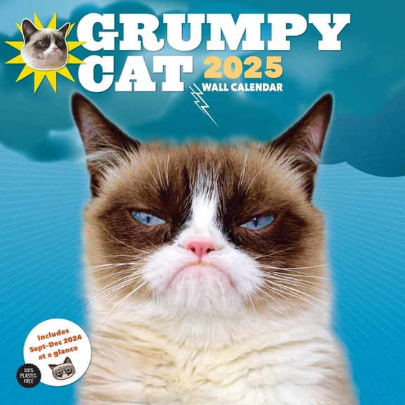 Grumpy Cat 2025 Wall Calendar, (Paperback)