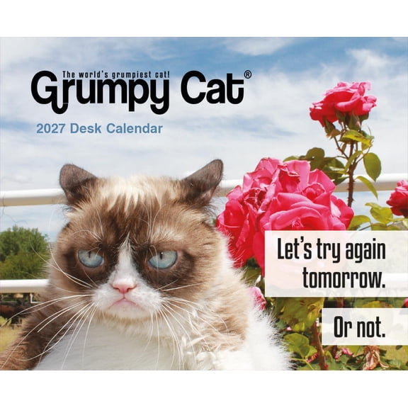 Grumpy Cat 2027 Boxed Calendar, (Paperback)
