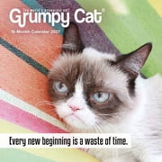 Grumpy Cat 2027 Mini Wall Calendar, Paperback