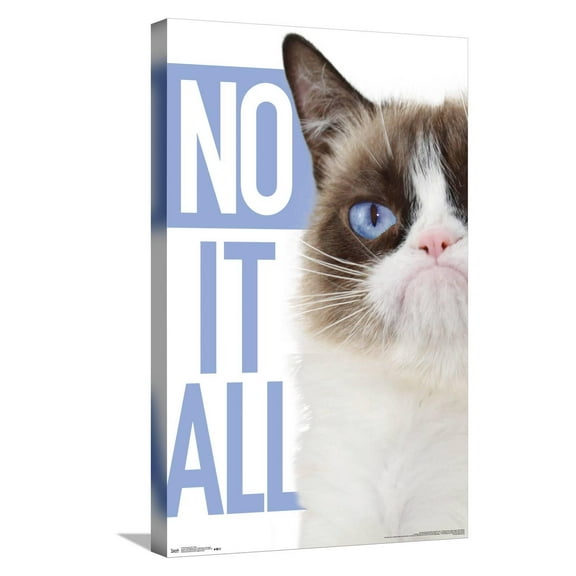 Grumpy Cat - Blue Canvas Wall Poster, 14.725" x 22.375"