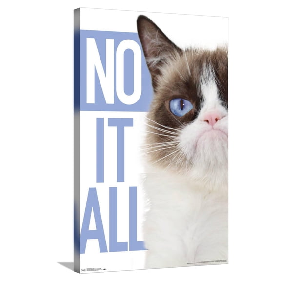 Grumpy Cat - Blue Canvas Wall Poster, 22.375" x 34"