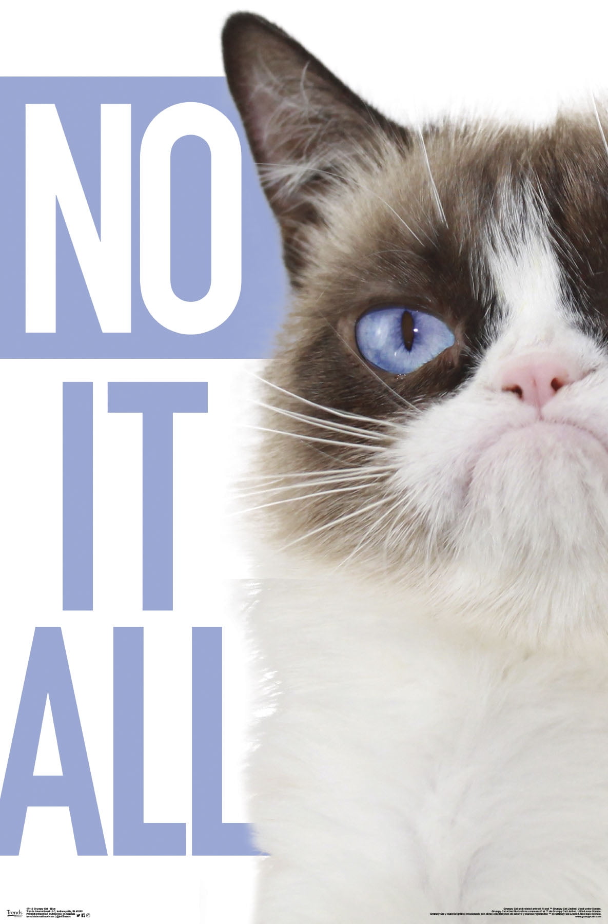 Grumpy Cat - Blue Poster Mount Bundle