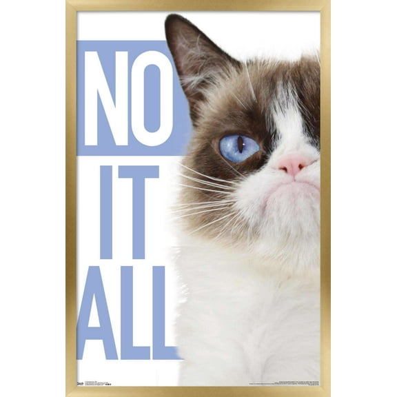 Grumpy Cat - Blue Wall Poster, 14.725" x 22.375", Framed