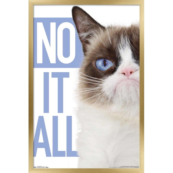 Grumpy Cat - Blue Wall Poster, 22.375" x 34", Framed
