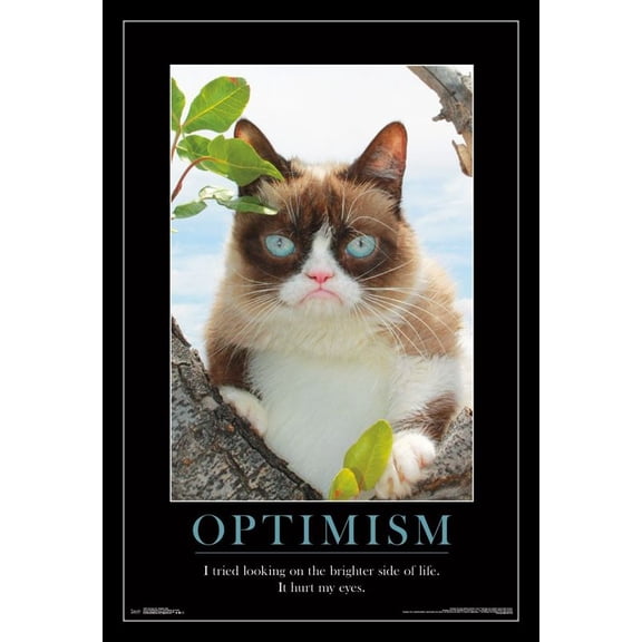 Grumpy Cat - Brighter Side Laminated & Framed Poster Print (22 x 34)