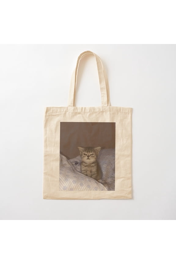 Grumpy Cat Canvas Canvas Tote Bags, Reusable Shopping Bag