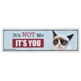 thumbnail image 1 of Grumpy Cat Desk Sign - It's Not Me It's You, 1 of 1