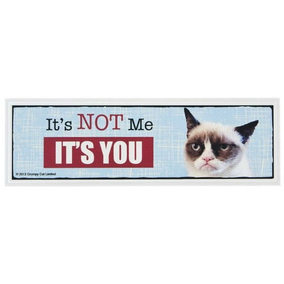 Grumpy Cat Desk Sign - It's Not Me It's You