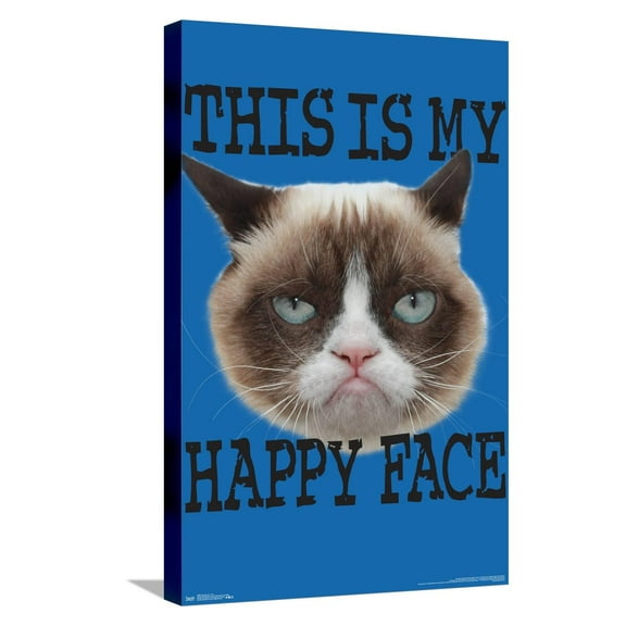 Grumpy Cat - Face Canvas Wall Poster, 14.725" x 22.375"