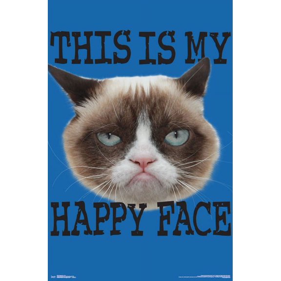 Grumpy Cat - Face Poster - 22 x 34 inches