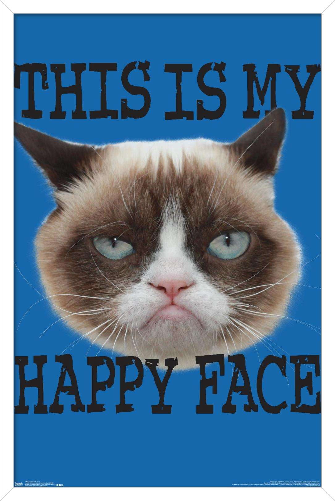 Grumpy Cat - Face Wall Poster, 14.725" x 22.375", Framed