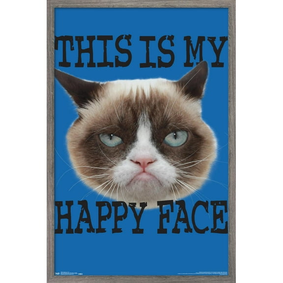 Grumpy Cat - Face Wall Poster, 14.725" x 22.375", Framed