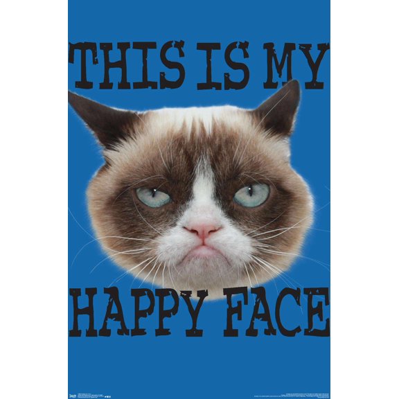Grumpy Cat - Face Wall Poster, 14.725" x 22.375"