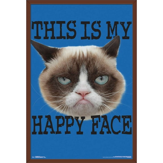 Grumpy Cat - Face Wall Poster, 22.375" x 34", Framed