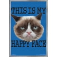 thumbnail image 1 of Grumpy Cat - Face Wall Poster, 22.375" x 34", Framed, 1 of 2