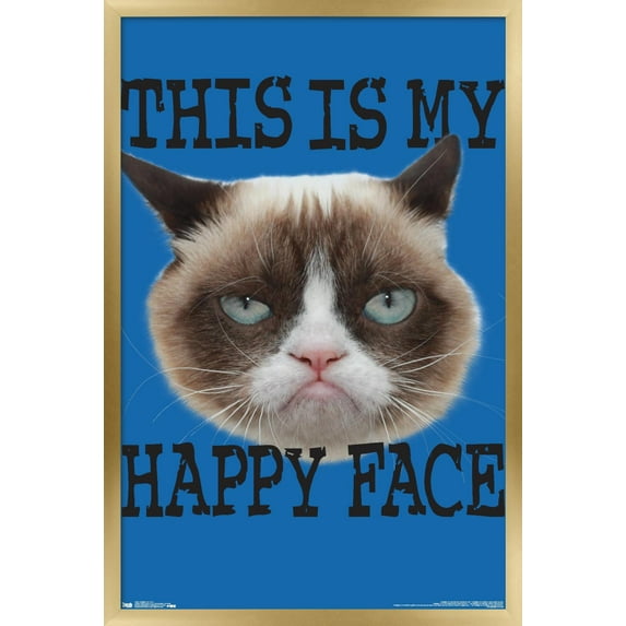 Grumpy Cat - Face Wall Poster, 22.375" x 34", Framed