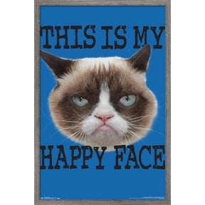 Grumpy Cat - Face Wall Poster, 22.375" x 34", Framed