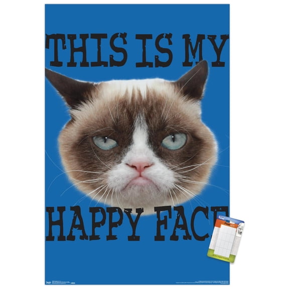 Grumpy Cat - Face Wall Poster, 22.375" x 34"