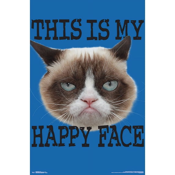 Grumpy Cat - Face Wall Poster, 22.375" x 34"