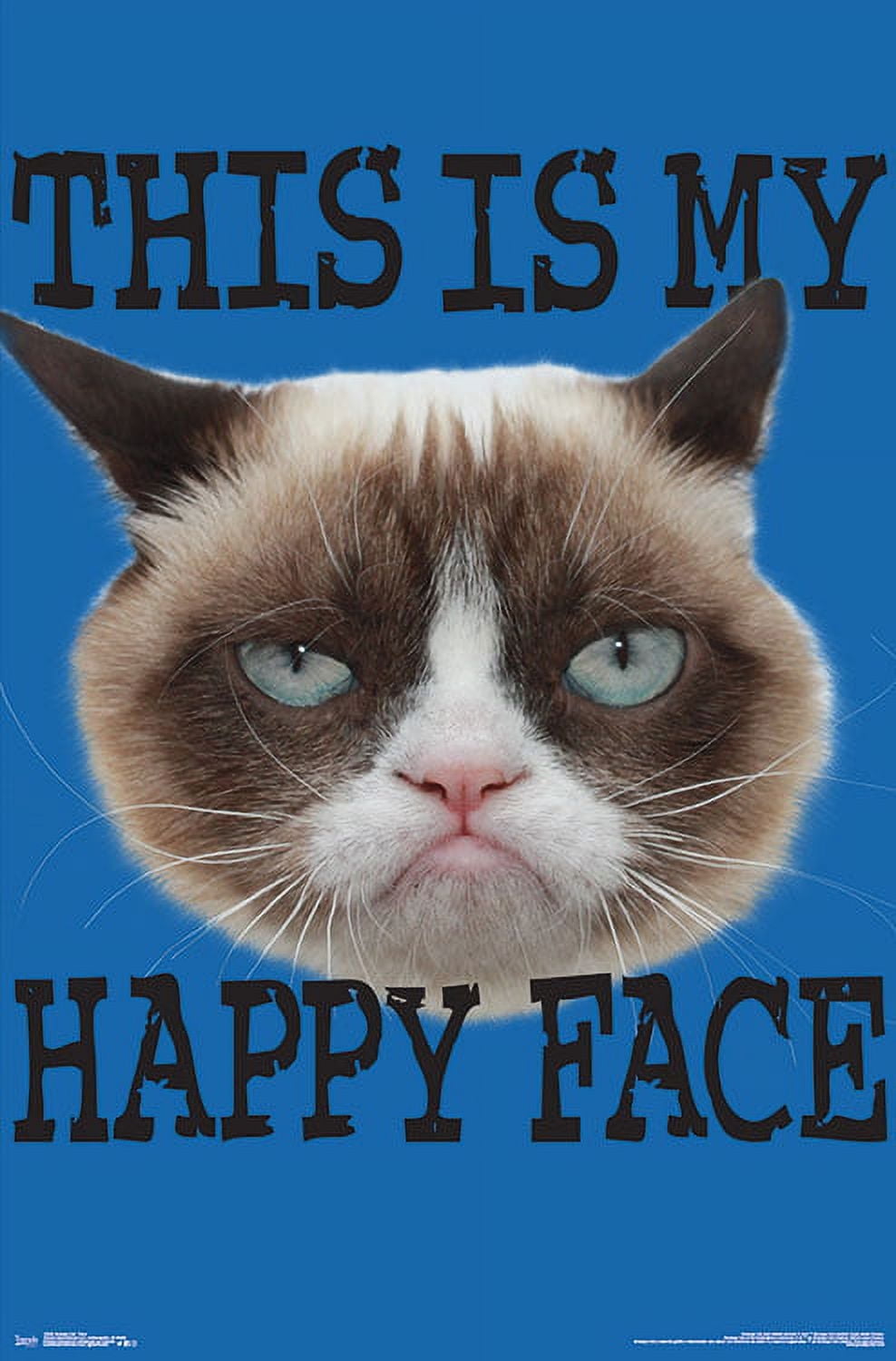 Grumpy Cat - Face Wall Poster, 22.375\, image size:988x1500
