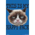 thumbnail image 1 of Grumpy Cat - Face Wall Poster, 22.375" x 34", 1 of 2