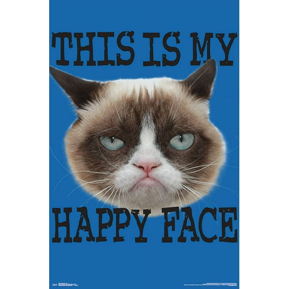 Grumpy Cat - Face Wall Poster, 22.375" x 34"