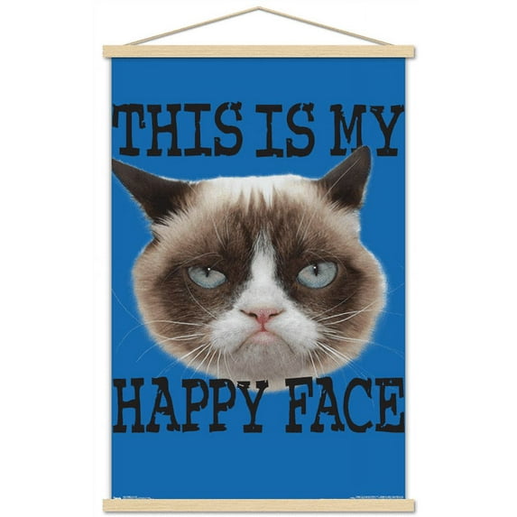 Grumpy Cat - Face Wall Poster with Magnetic Frame, 22.375" x 34"