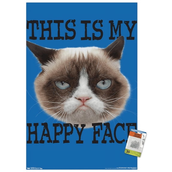 Grumpy Cat - Face Wall Poster with Push Pins, 22.375" x 34"