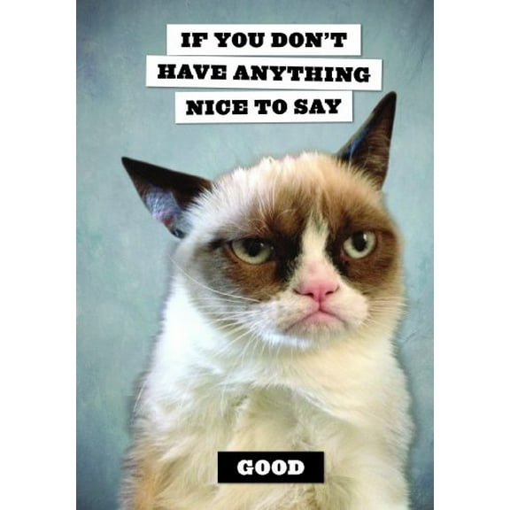 Pre-Owned Grumpy Cat Journal (Paperback) 1452133220 9781452133225