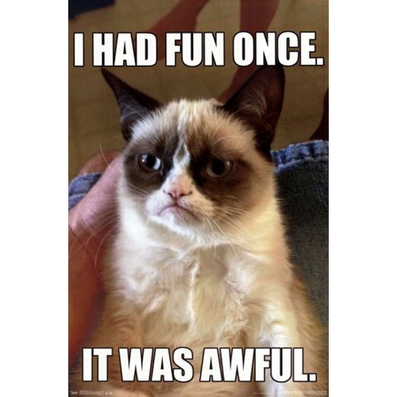 Grumpy Cat - Fun Meme Poster - 22 x 34 inches